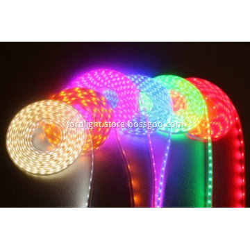 SMD5050 16.4ft 24v Led Lights